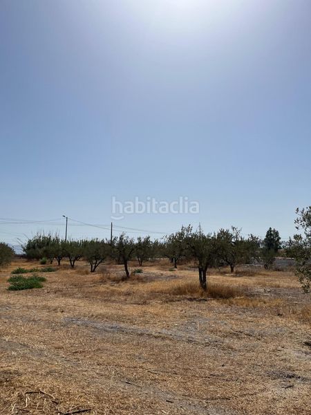 Foto 0b0f26a4-1dcd-4ac2-b1b5-fe7e23550d13. Finca rústica a Torrecilla Lorca
