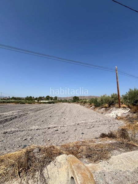 Foto 0d937f7d-4453-4c88-aff1-ea8ff9c04af7. Finca rústica a Torrecilla Lorca