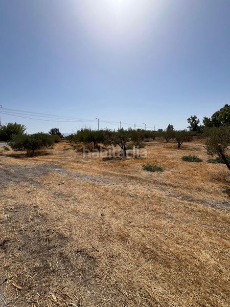 Foto 2b5a5514-229e-4afc-a268-5758d8ae0c25. Finca rústica a Torrecilla Lorca