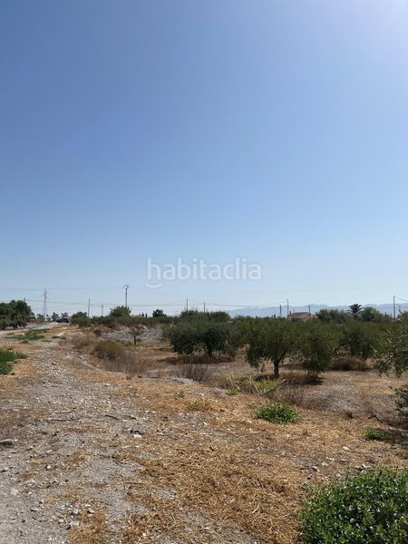 Foto 9a933304-a030-4999-b967-0fcc2603066d. Finca rústica a Torrecilla Lorca