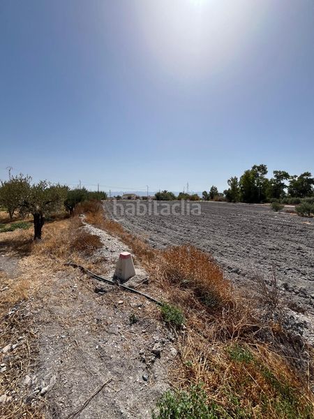 Foto a1ac9fde-d6bf-4fcd-9252-f2c23c866993. Finca rústica a Torrecilla Lorca