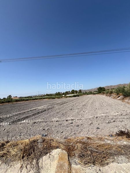 Foto d0fe2981-4f29-40ec-a75f-f96fbd427bfb. Finca rústica a Torrecilla Lorca