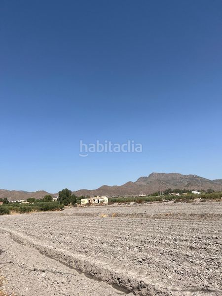 Foto d5d981d5-4bd5-469d-9cf3-a35ba5ab09da. Finca rústica a Torrecilla Lorca