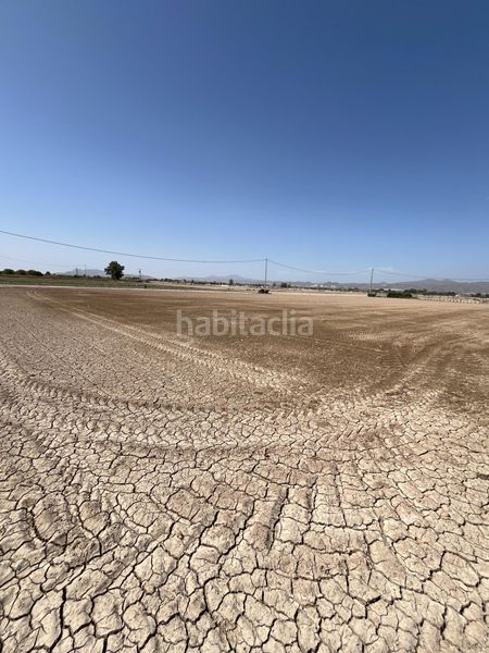Foto 43902afe-7be3-49a0-b259-05e391f5b051. Finca rústica a Campillo Lorca