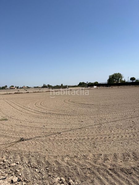 Foto ce6b6743-32e7-4026-8356-7de13310c779. Finca rústica a Campillo Lorca