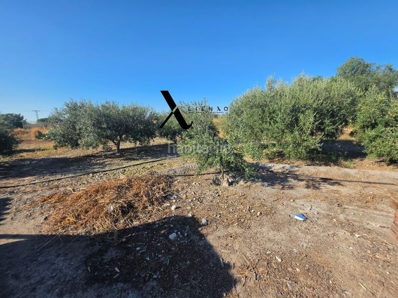 Foto 2a0e04f9-7d71-439e-9375-63e818b91d44. Casa adossada amb aparcament a Torrecilla Lorca