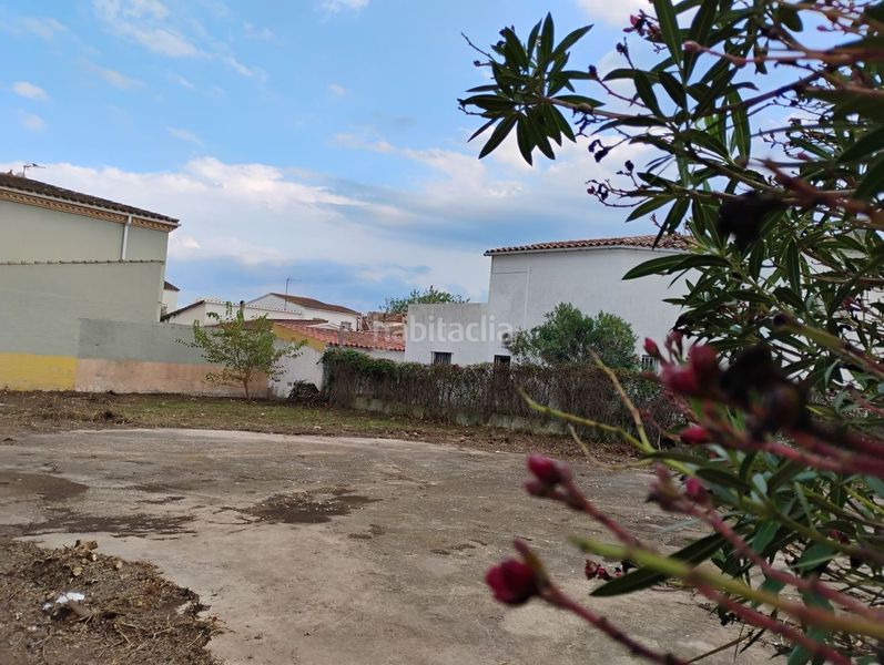 Foto 900526c2-b364-4380-b994-a8fc24d8f8e2. Finca rústica en Montgrí Empuriabrava