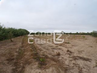 Country house  Poligono 1 paraje 48 les jovades. Conjunto de parcelas agrícolas con infraestructura y riego