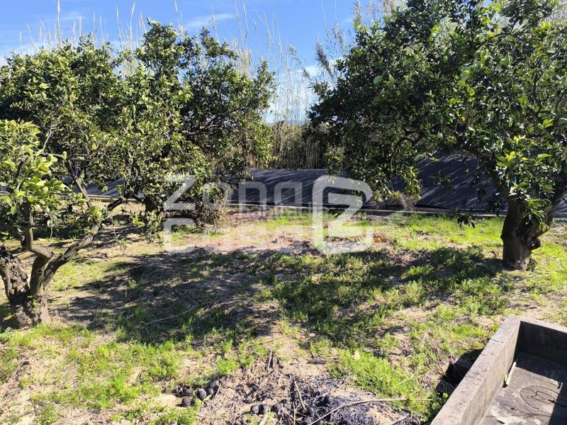 Foto 043f8e7b-5e4a-49e3-9892-7fabf7443e1c. Masia a Carcaixent