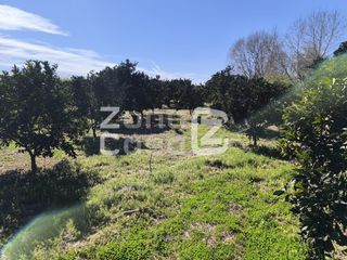 Masia  Partida barqueta la. Finca rustica  venta carcaixent