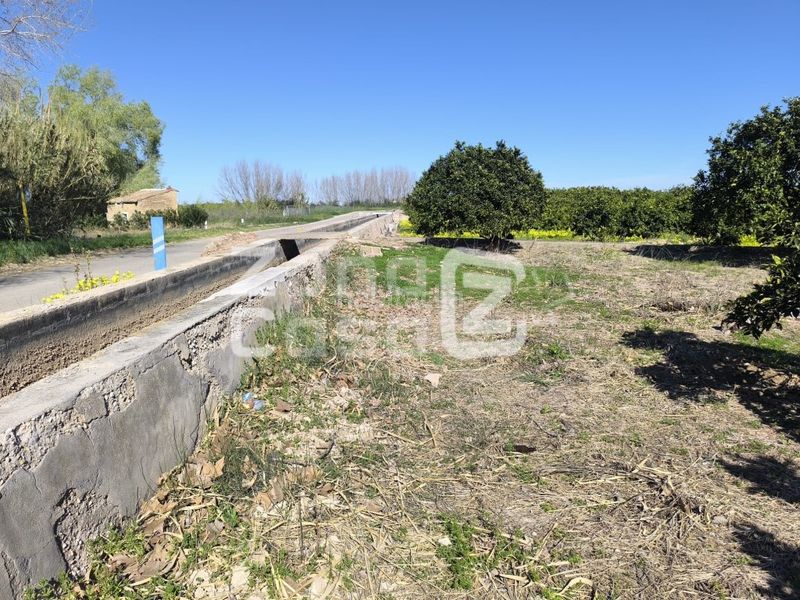 Foto 0c4de812-b5ac-4abc-a6be-d15e1d53559c. Masia a Carcaixent