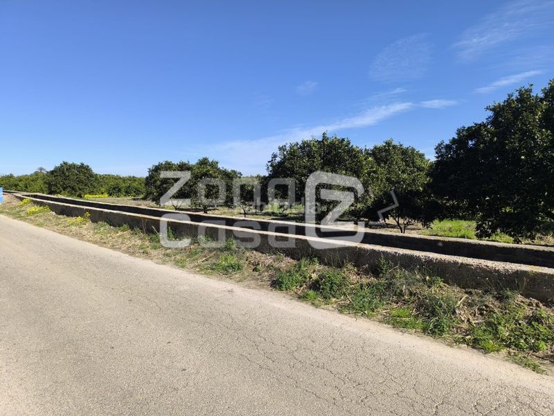 Foto 52cc20ac-b2dc-4d28-b159-5553a5f94f33. Masia a Carcaixent