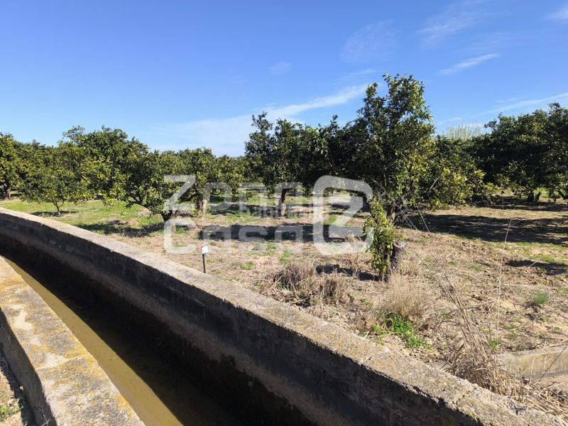 Foto aa5f3d5b-2be0-4f79-bbad-a3de56364f19. Masia a Carcaixent