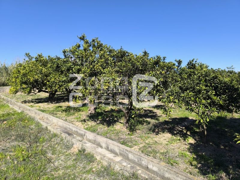 Foto eac110cf-2379-4551-9d95-c2bb1a175952. Masia a Carcaixent