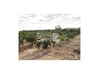Casale  Poligono num 31. Finca rustica  venta alzira