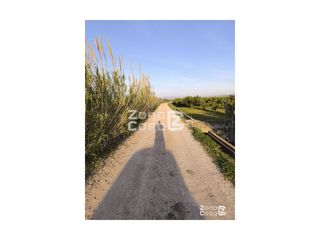 Country house  Pol.7 parc. 43. Finca rustica  venta algemesí