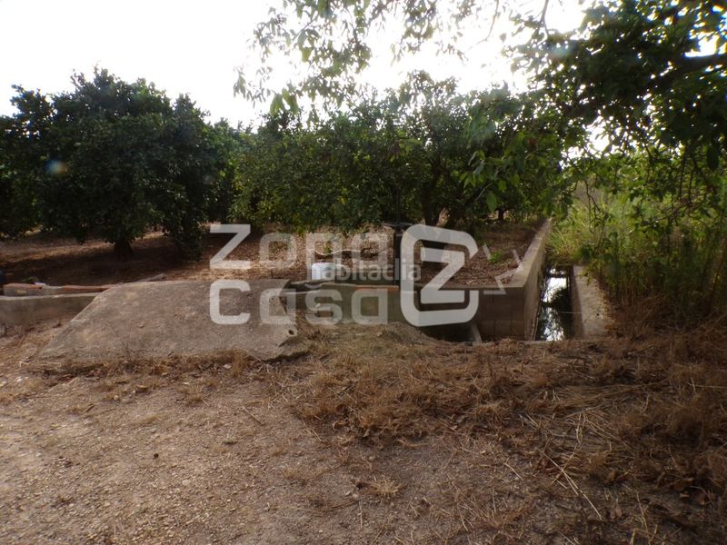 Foto 59910f22-3480-4077-ac2b-c56cba07c917. Masia a Carcaixent