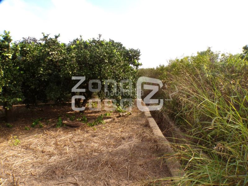 Foto b5d5e7ee-bd45-4035-a278-3312f58e4da5. Masia a Carcaixent