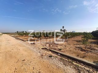 Casale  Polígono 3. Se vende excelente parcela agrícola