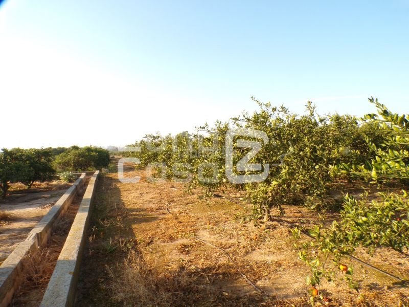 Foto ee444982-e175-40ca-bd3e-1566c569e1a5. Casale in Algemesí