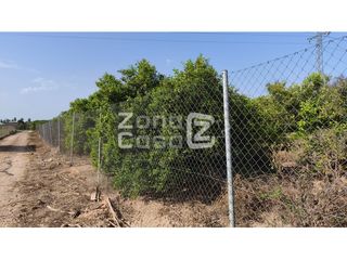 Bauernhof  Poligono 5 paraje 34 campins. Venta de campo entre benicull de xúquer, polinyà de xúquer y alb