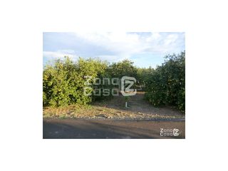 Bauernhof  Poligono numero 4 bobalar. Finca rustica  venta polinyà de xúquer