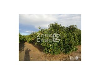 Bauernhof  Poligono numero 6 alberell. Finca rustica  venta polinyà de xúquer
