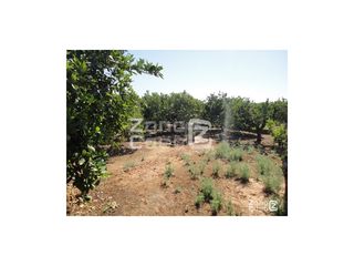 Bauernhof in Urbanitzacions i Pedanies Nord. Finca rustica  venta alzira