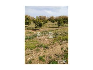 Masia a Algemesí. Finca rustica  venta algemesí