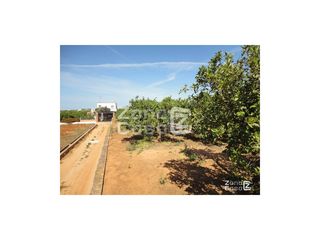 Bauernhof in Urbanitzacions i Pedanies Nord. Finca rustica  venta alzira