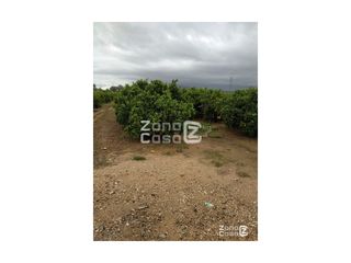 Masia a Algemesí. Finca rustica  venta algemesí
