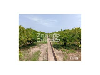 Casale  Pol.43 parc.. Finca rustica  venta sueca