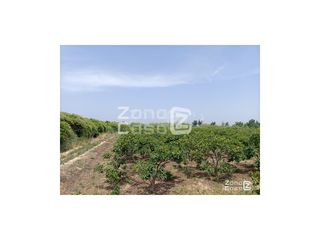 Bauernhof  Pol. 3 parc.. Finca rustica  venta cullera