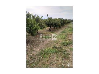 Masia a Algemesí. Finca rustica  venta algemesí