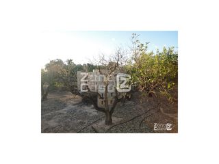 Bauernhof  Poligono poligono 3. Finca rustica  venta benimuslem