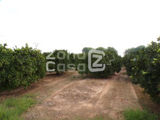 Mas  Partida passicos. Parcela agrícola de 20,92 h.
