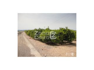 Masia  Pol. 13 parc. 275-276-48. Finca rustica  venta algemesí