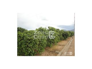 Masía  Poligono numero 13 alcocera. Finca rustica  venta polinyà de xúquer