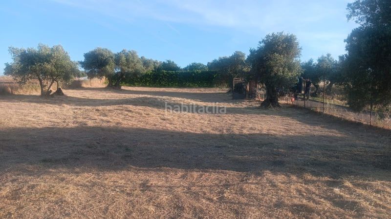 Foto 14e7f16d-7b71-4c06-b535-62ef2a6dcc9e. Terreny residencial a Yuncos