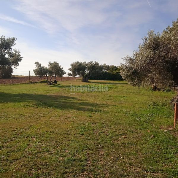 Foto f87c6db9-0146-4220-b9b2-bbb318acc7c2. Terreny residencial a Yuncos