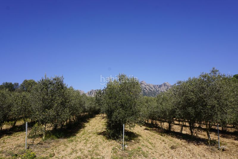 Foto d98d1e39-bef8-4e48-81d7-8b5da7fd545a. Masía espectacular finca en Bruc (El)