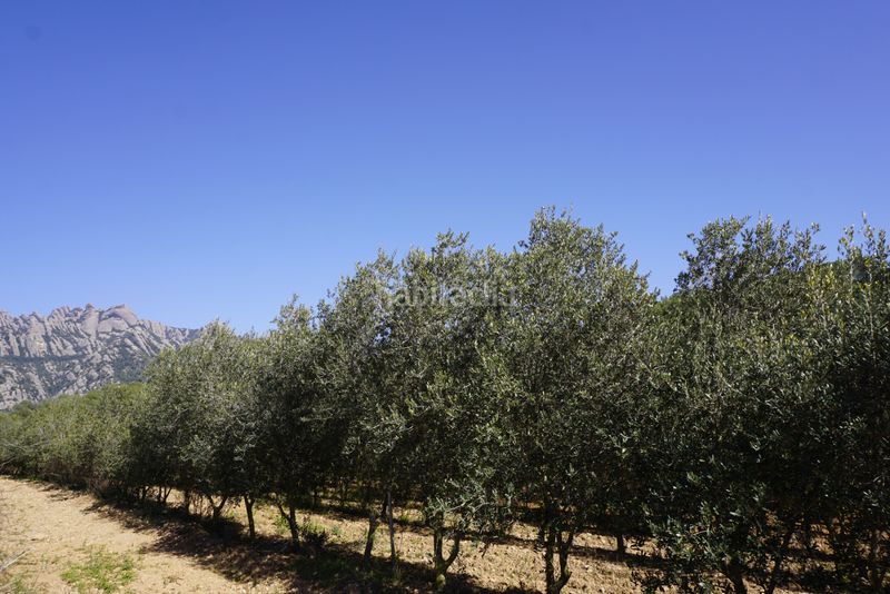 Foto e586f2e7-c9cf-4760-a397-cef0ef633262. Masía espectacular finca en Bruc (El)