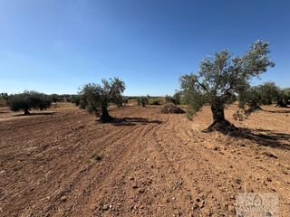Terreno residenziale in Almendralejo. Almendralejoterreno