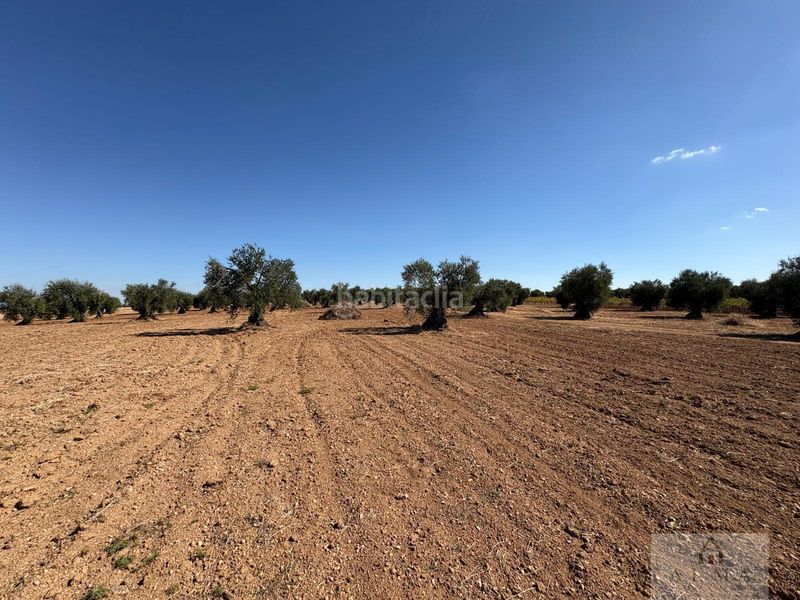 Foto 5fc4f22d-7b46-41a5-8e61-2544c264f025. Terreny residencial a Almendralejo