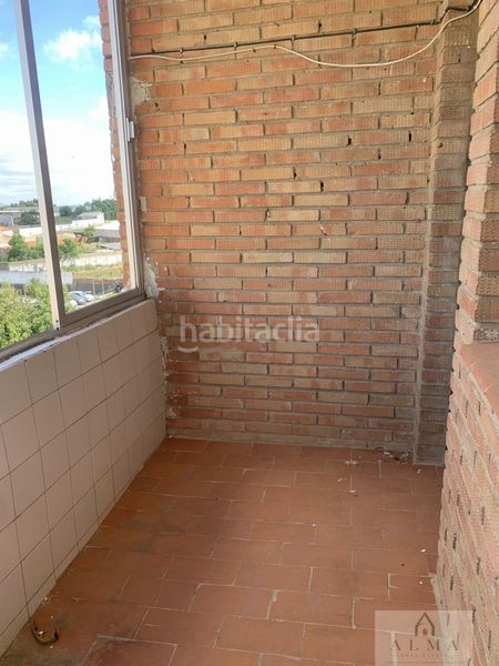 Foto b9206e5b-729f-4732-b2ff-c62efc0e859b. Pis a Almendralejo