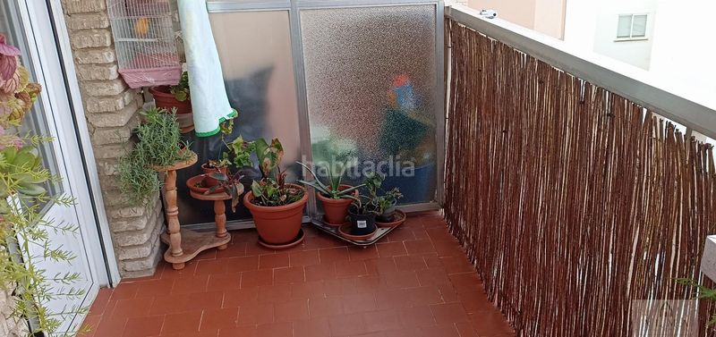 Foto c7e13a61-d23d-48c1-ae2d-ce2d7276a593. Pis a Almendralejo