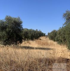 Residential Plot in Almendralejo. Almendralejoterreno