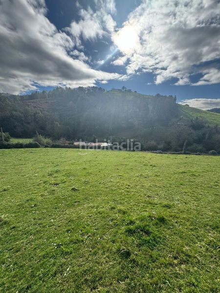 Foto 5a846380-5d17-43fb-a0c8-c64f4c065120. Terreny residencial a La Pedrera Gijón