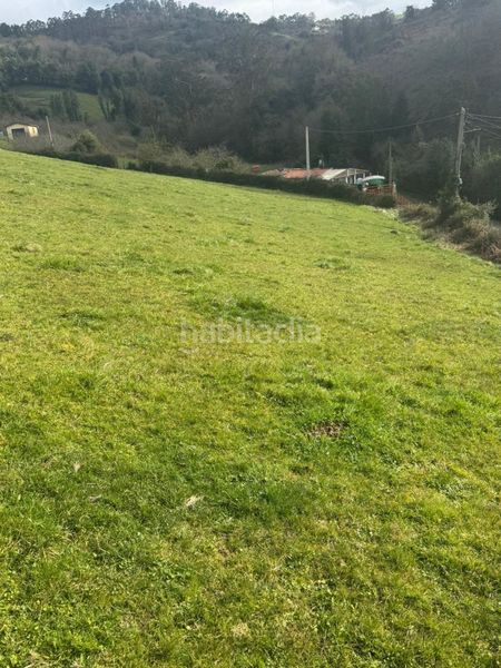 Foto f7e3ae1b-e822-4253-8951-da8825451603. Terreny residencial a La Pedrera Gijón