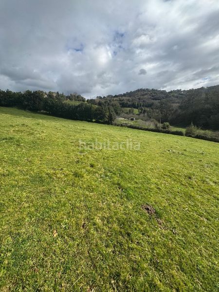 Foto fe139aec-7cde-4aaf-9ba1-741cfb0e037b. Terreny residencial a La Pedrera Gijón